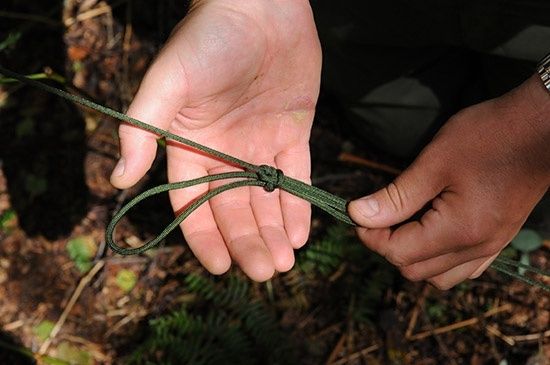 Hender som knyter en løkke på en grønn bardun i skogen